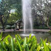 🏯🦢 Kowloon Park: A Hidden Oasis in the City 🌳🐒