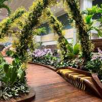 Singapore airport 😍
