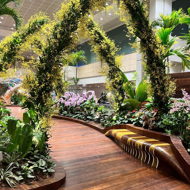 Singapore airport 😍
