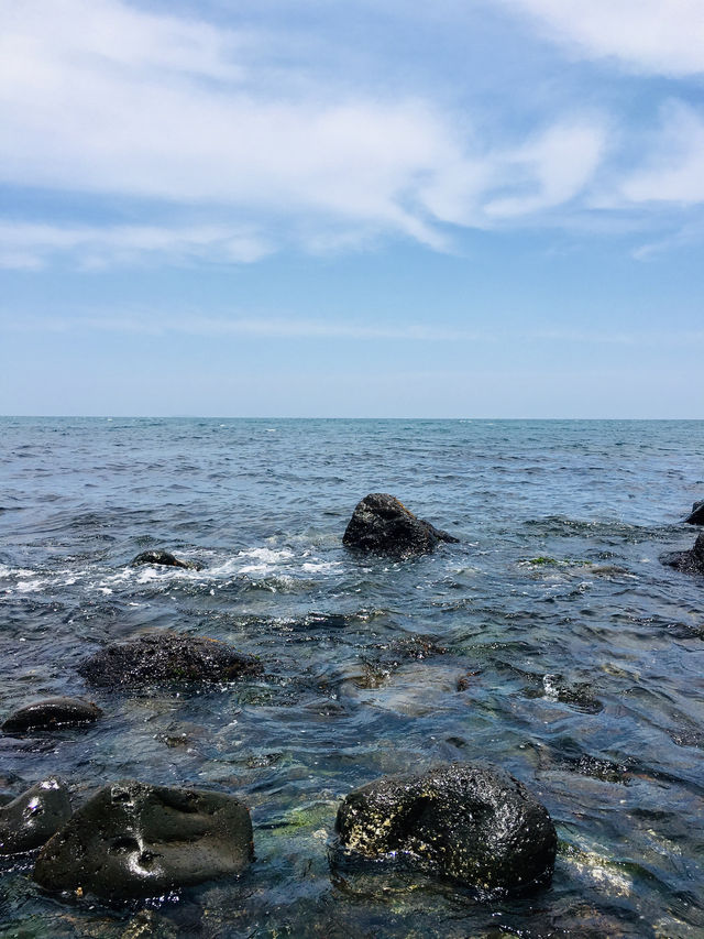 Jeju Island Travel Route Recommendation | Take a spontaneous trip