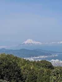 Shizuoka | Mount Fuji 🗻 and cherry blossoms 🌸 in spring