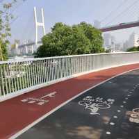 Cycle de Bund