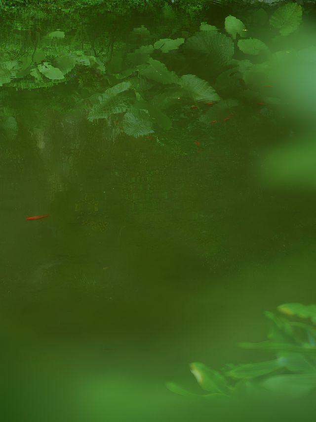 深圳這座免費的小眾公園我不敢告訴太多人，因為實在太好拍了！