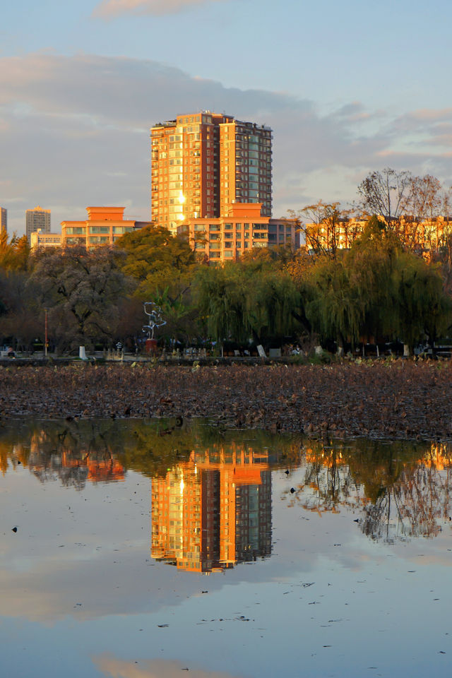 深秋的翠湖公園真的太美了（附攻略）