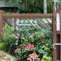 打卡香港動植物公園