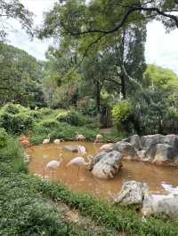 一起跟萌娃玩轉昆明動物園！