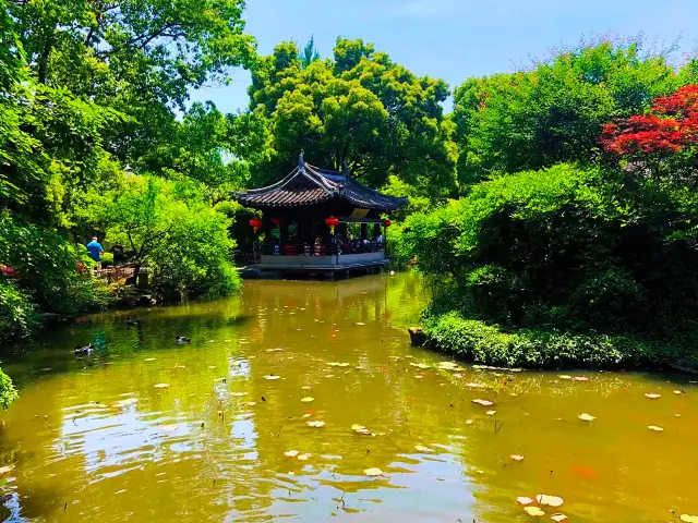 Love Garden: Shen Garden in Shaoxing