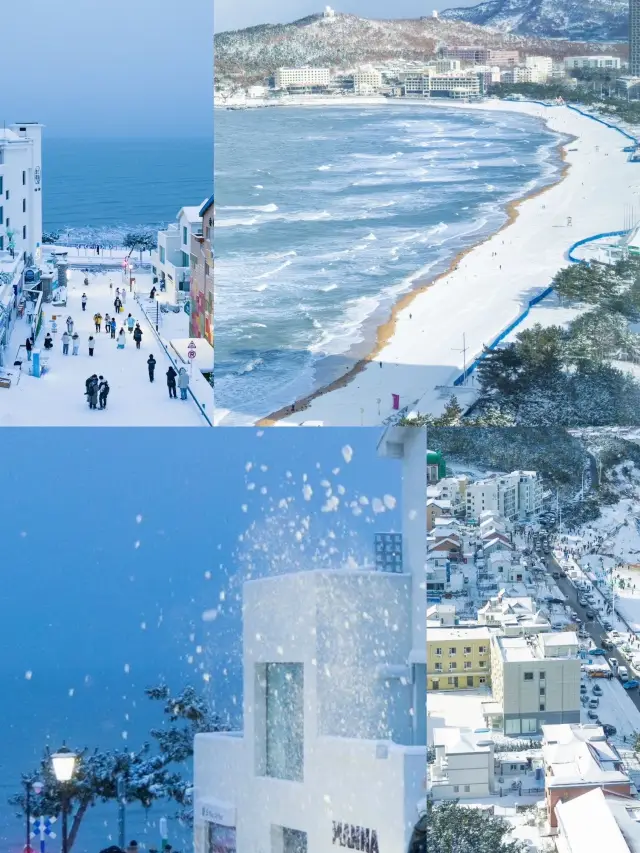 People from the south are moved to tears, here's a 'nanny-style tutorial' for experiencing snow in Weihai