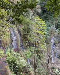 Secret Waterfall Odyssey: Discovering Cascata da Ribeira do Seixal, Madeira 🇵🇹💦