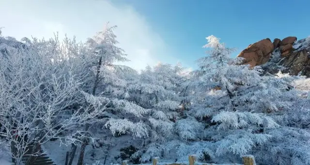 황산에 가지 않는 것이 아니라, 청도가 가성비가 더 좋습니다