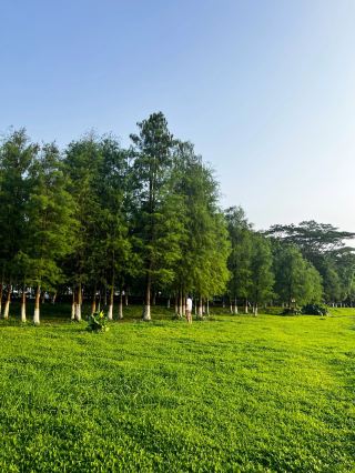 The most beautiful and comfortable park