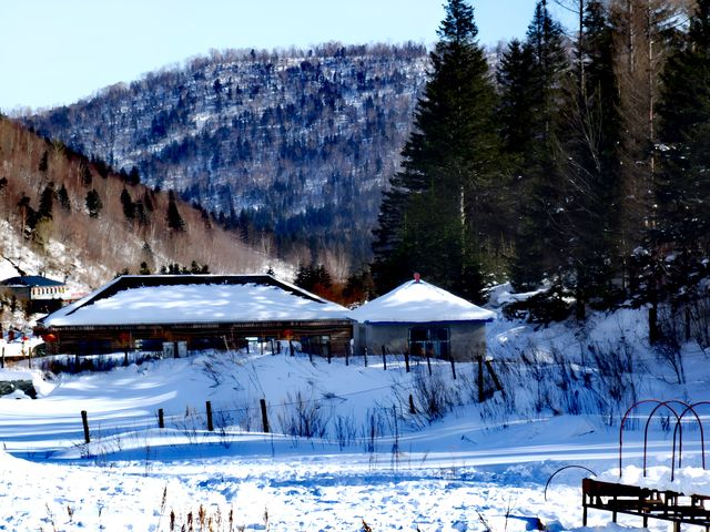 原來姊也能過雪山的