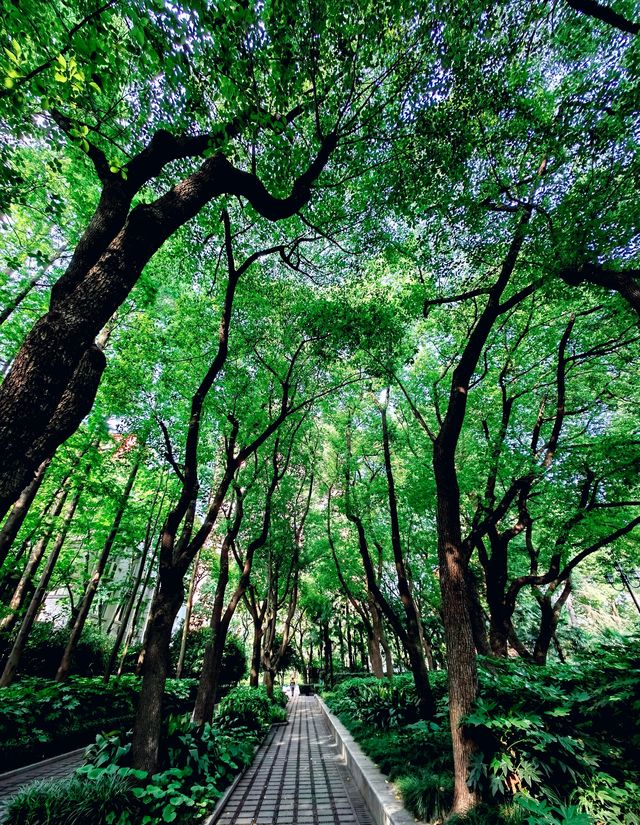 上海|復興公園，一座老牌法式園林