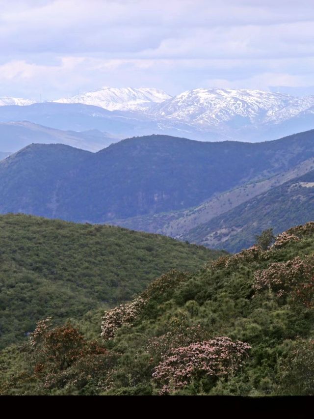 絕美！ 川西寶藏美景  小眾之旅