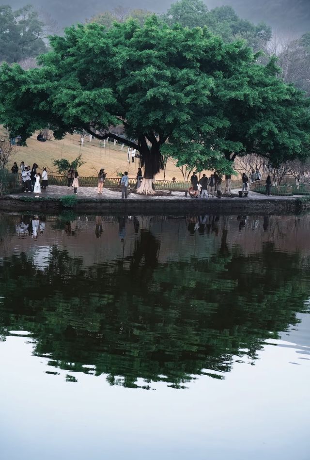 柳州龍潭公園攻略