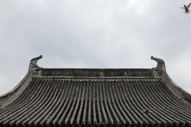 發現上海|真如寺真的好,就是鴿子shi太多咯 發現上海|真如寺真的好,就是鴿子shi太多咯