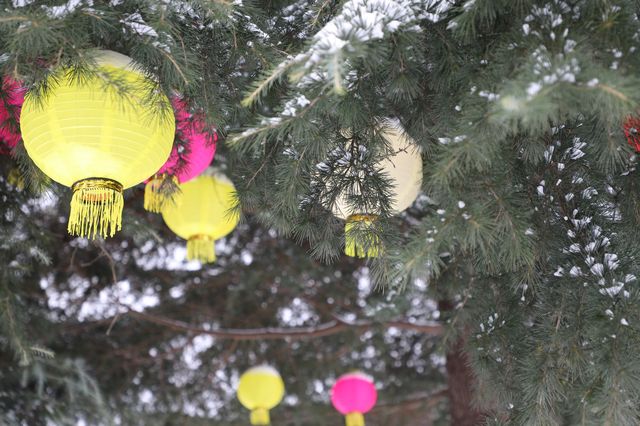 冬享沂蒙過大年，趣玩雲蒙嘉年華