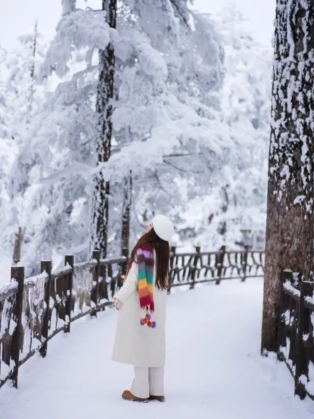 A must-visit in winter, Wawushan, the real-life snow fairy tale world