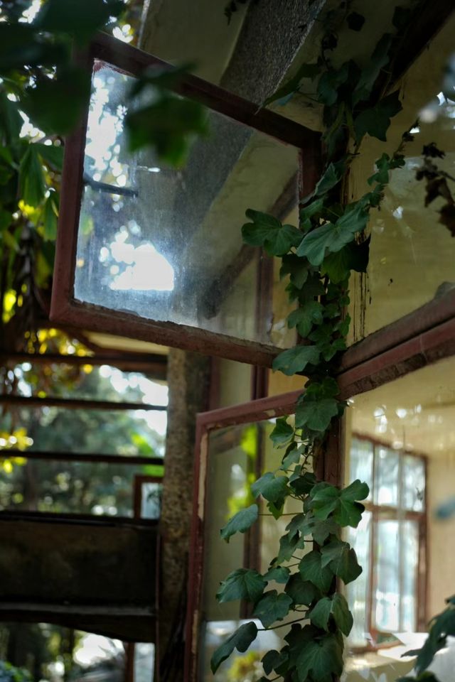雲南昆明金殿蝴蝶園