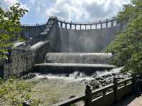 從上海自駕3小時到溧陽,天夜根本不夠玩!