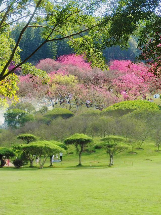 南寧遊玩——0元打卡石門公園