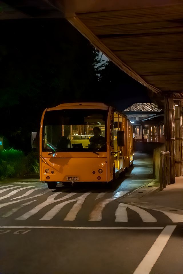 新加坡夜間動物園攻略，一定記得要徒步！