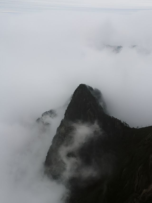 仙境一般的感覺，三月份的黃山！