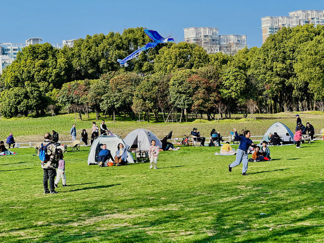 春日暖陽下的世紀公園