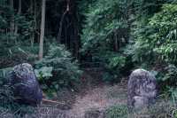 東莞探險| 莫非是傳說中的藏shi之地