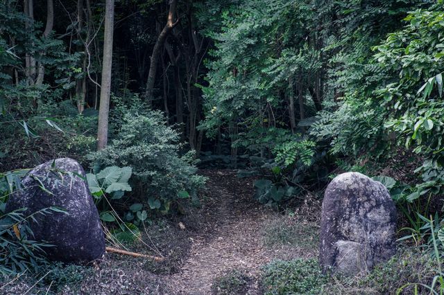 東莞探險| 莫非是傳說中的藏shi之地