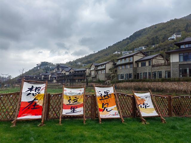 春日的莫干山，逍遙又自在