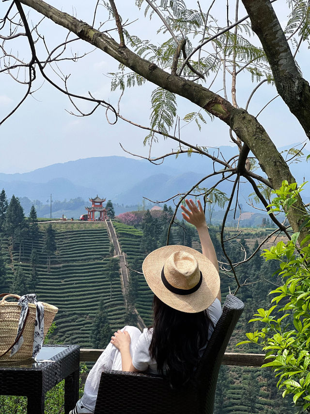 成都周邊，遊千年禪寺，賞萬畝茶園