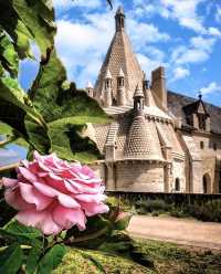 Abbaye Royale de Fontevraud