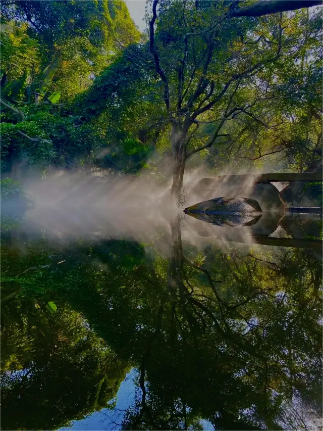 廈門必玩景點—園林植物園（遊玩攻略）