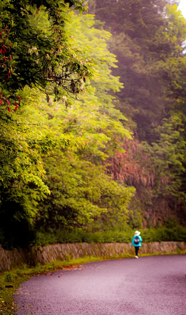 Qiandao Lake is worth visiting every year