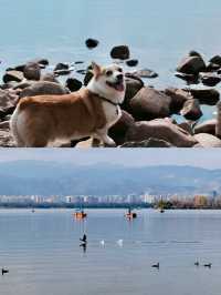 西昌親子遊第2天打卡觀鳥島濕地公園