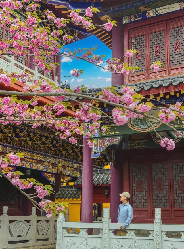 春天一定不能錯過的美景