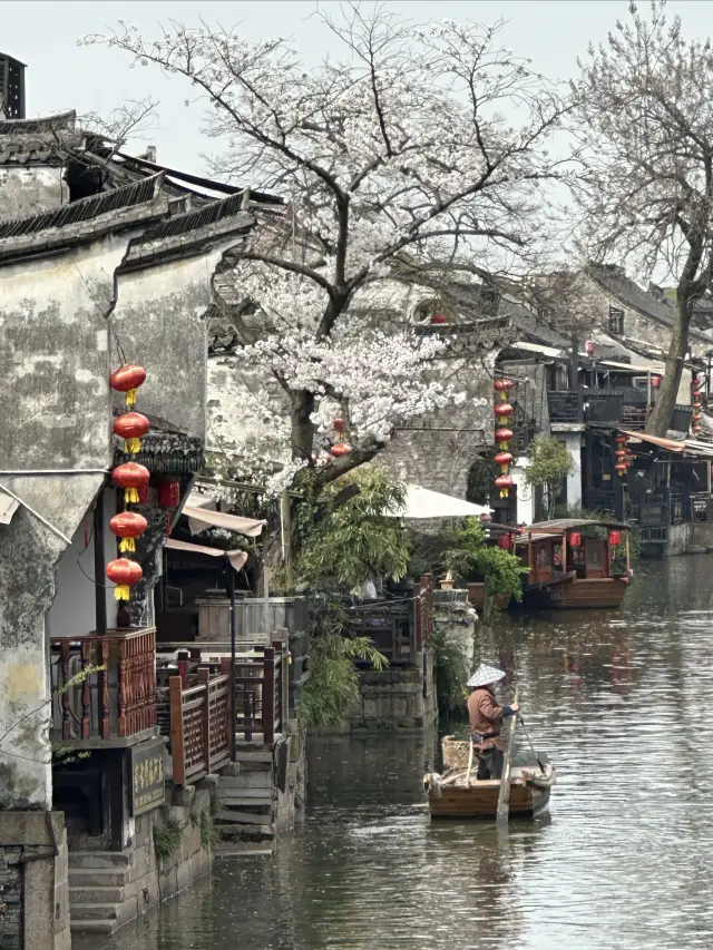 Once you enter Xitang, you are surrounded by the essence of Jiangnan (with practical tips)