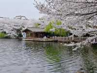 中國院子·夢溪苑