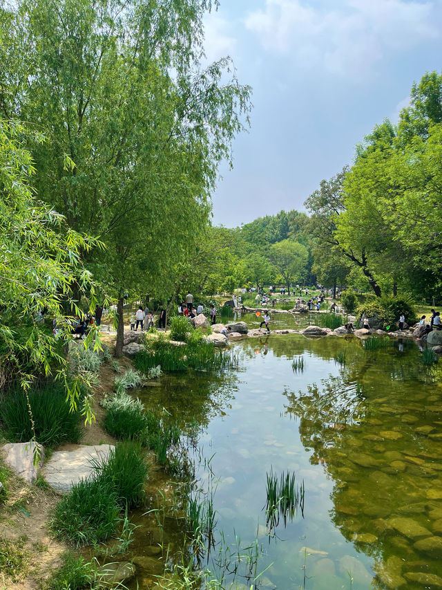 去植物園賞花踏青 |週末好時光