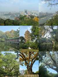 重慶拍照｜超出片的五大免費公園，不要錯過