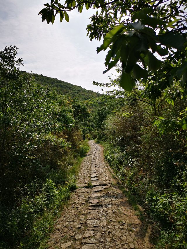 慈溪栲栳山