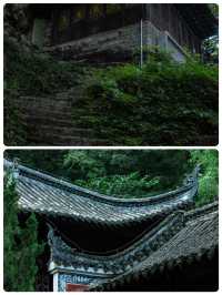 剛從飛雲崖回來！一些大實話！看完再去！！！