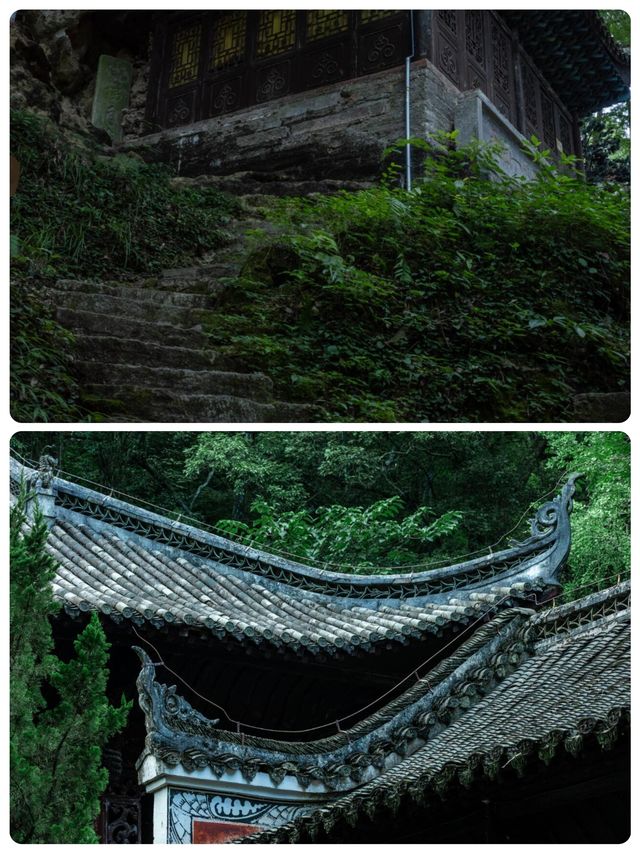 剛從飛雲崖回來！一些大實話！看完再去！！！