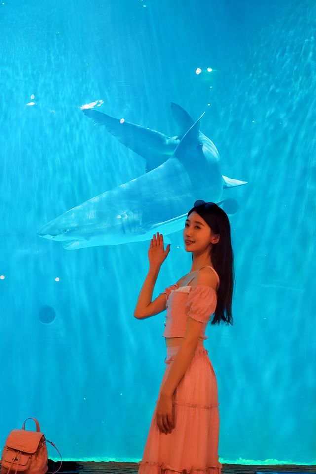 打卡海底世界｜ 探索海洋的的神秘