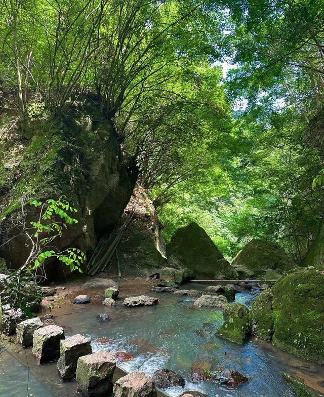 新昌美景