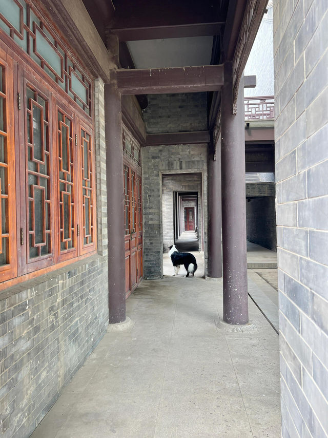 出門遛狗|天津一個不被人知的北塘古鎮