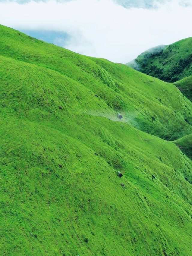 這裡既不是新疆，也不是武功山，是茂名三官山