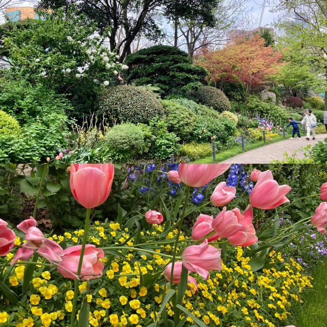 靜安公園～心靜之地