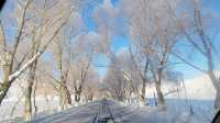 新疆阿勒泰3大滑雪場對比出行必看